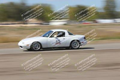 media/Oct-04-2025-OnGrid (Sat) [[44bd565ffa]]/Purple Group/Grapevine/